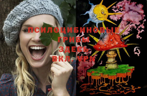 гидропоника Богданович