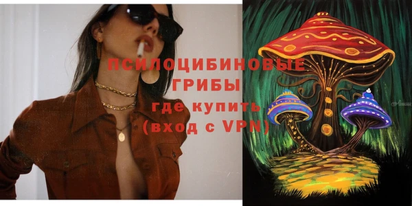 гидропоника Богданович